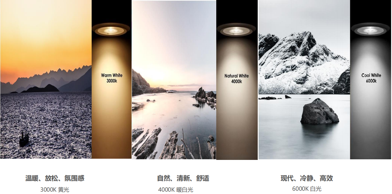 【設(shè)計(jì)案例】普照國康醫(yī)藥辦公室項(xiàng)目概念設(shè)計(jì)——以空間敘事，筑品牌基因(圖26)